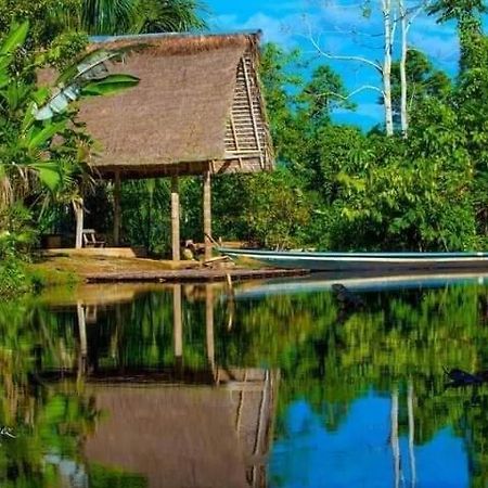 Misahualli Laguna Paikawe B&B Kültér fotó