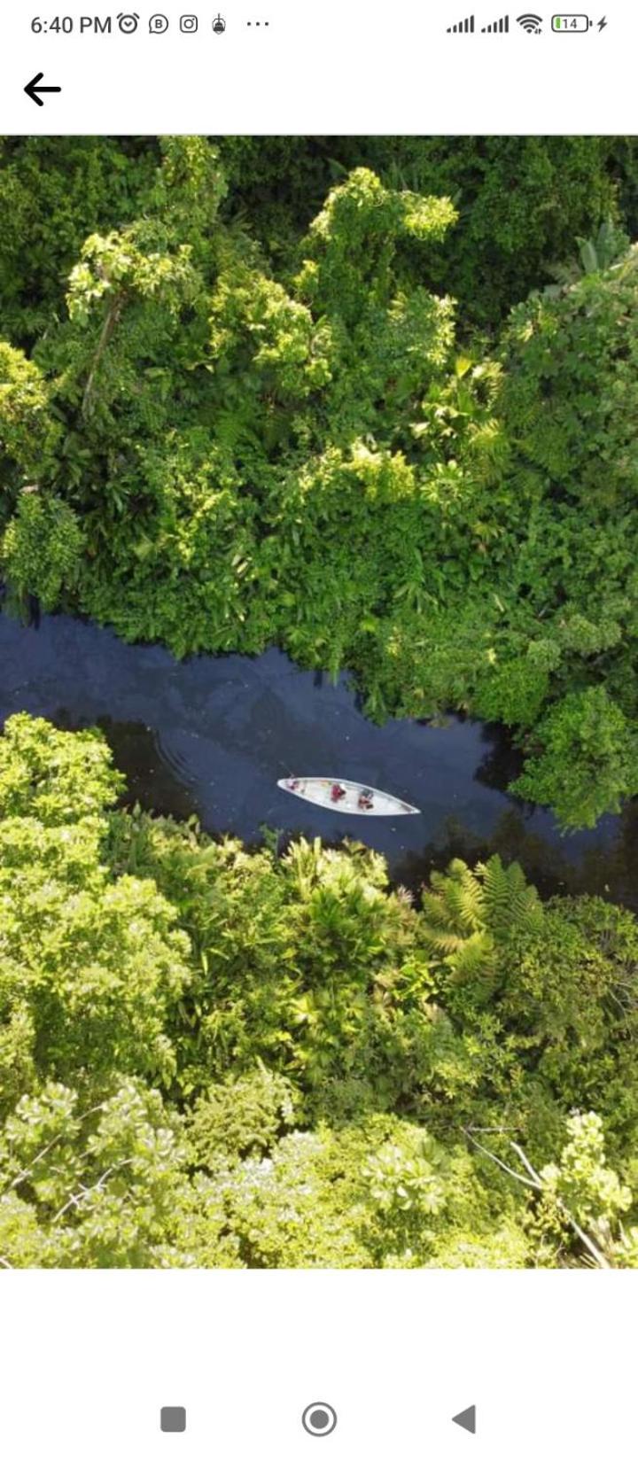 Misahualli Laguna Paikawe B&B Kültér fotó