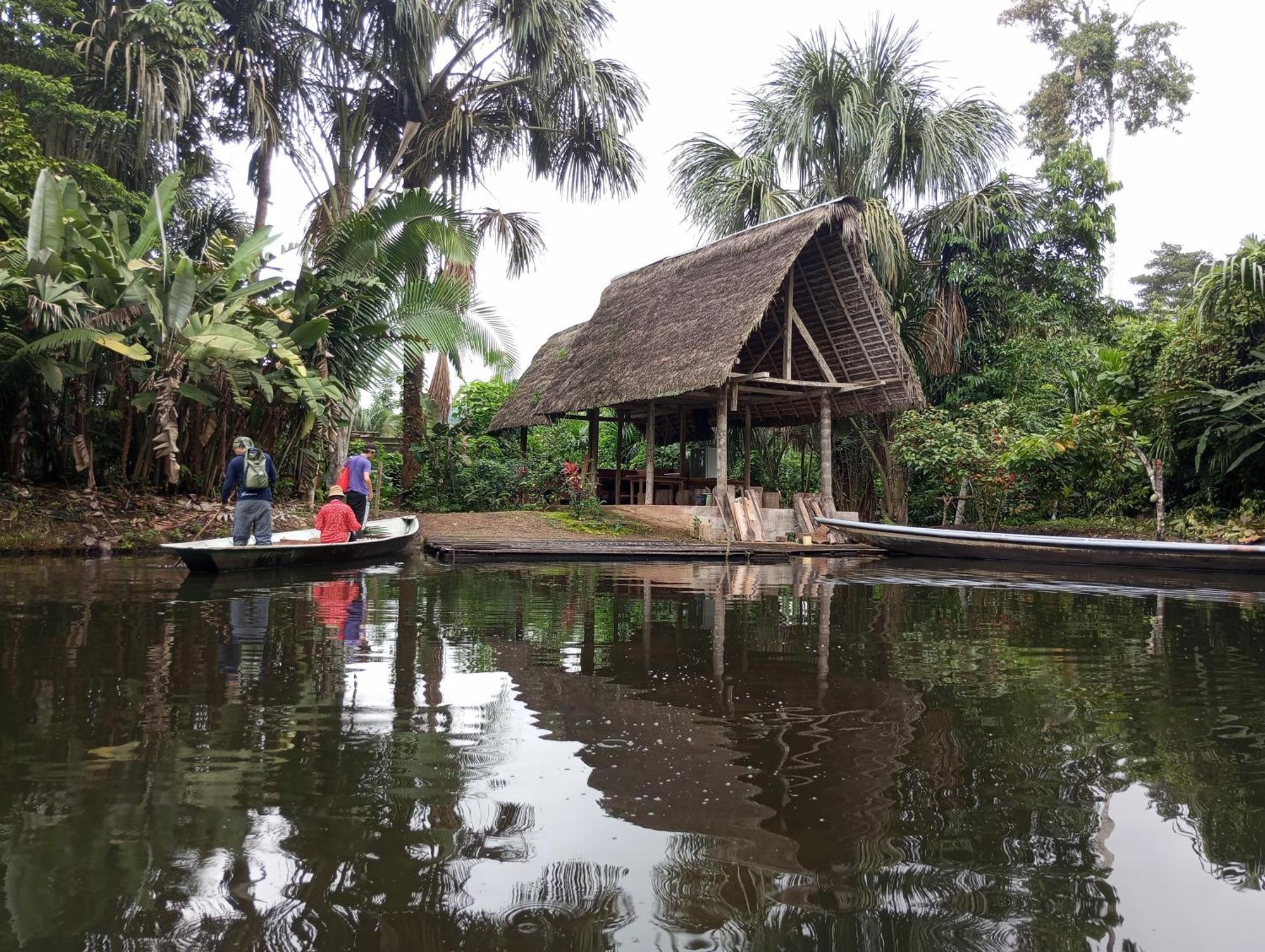 Misahualli Laguna Paikawe B&B Kültér fotó