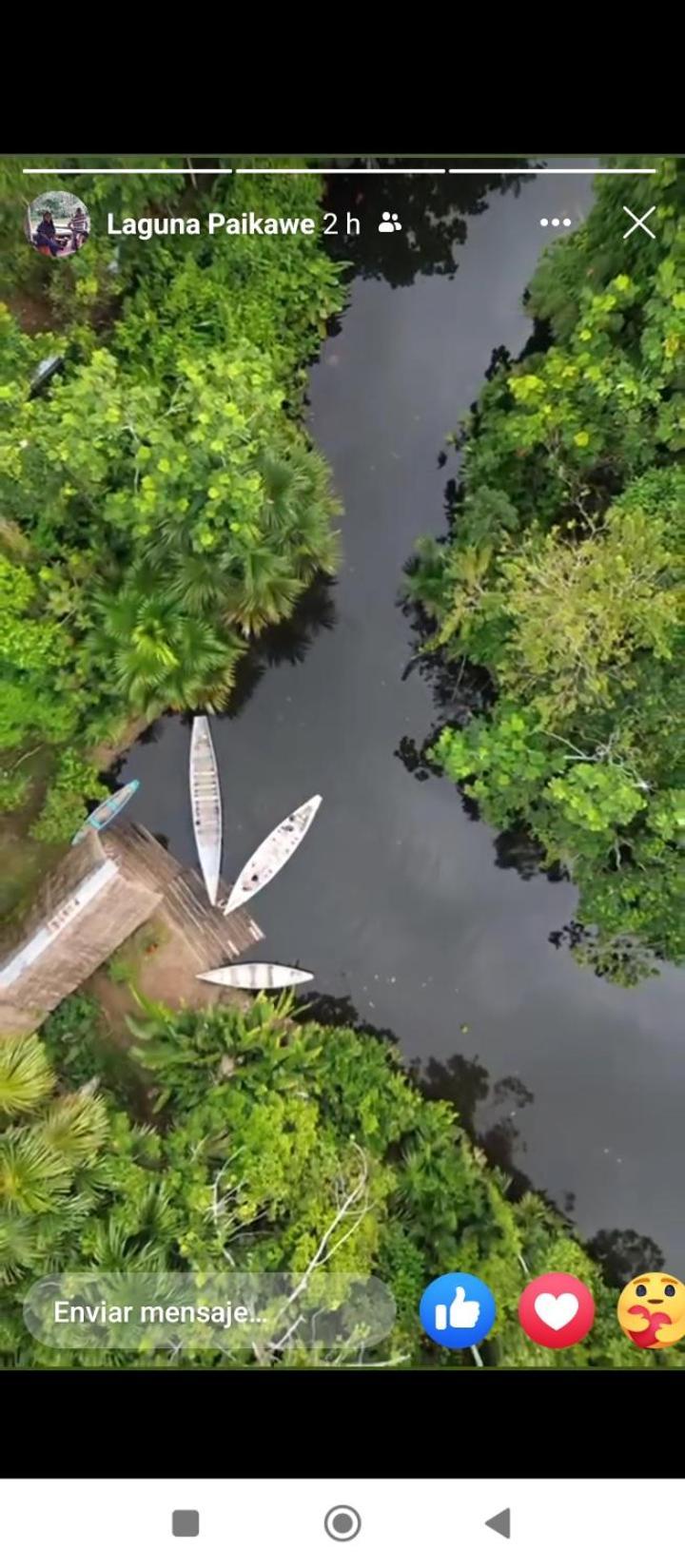 Misahualli Laguna Paikawe B&B Kültér fotó
