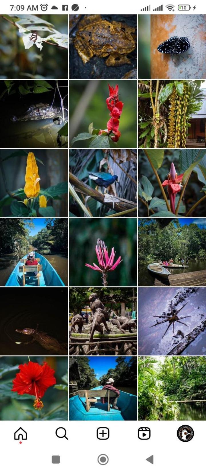 Misahualli Laguna Paikawe B&B Kültér fotó