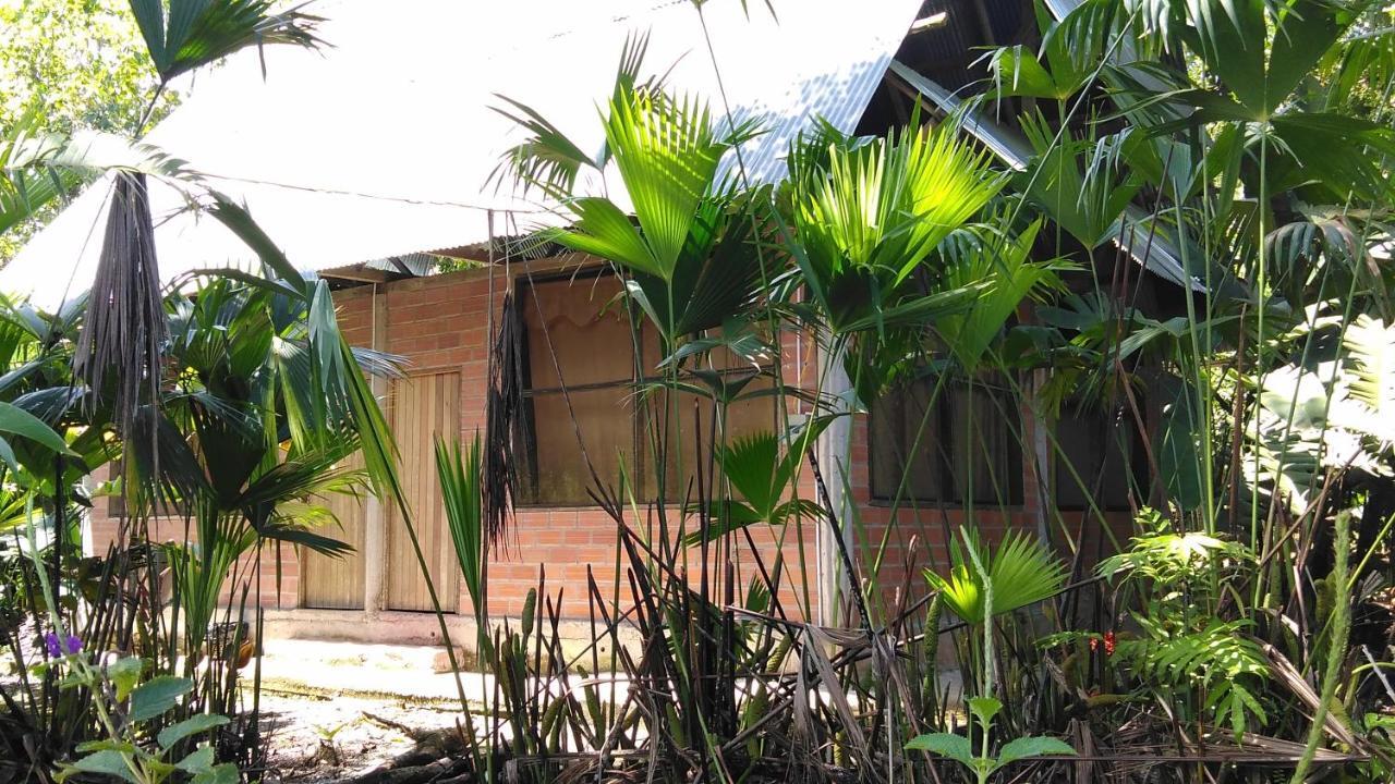 Misahualli Laguna Paikawe B&B Kültér fotó